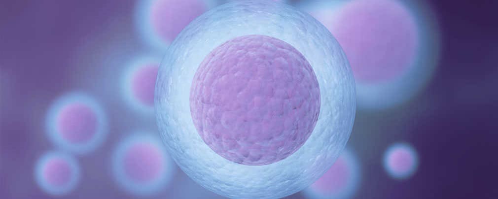 Fertility After 30-35