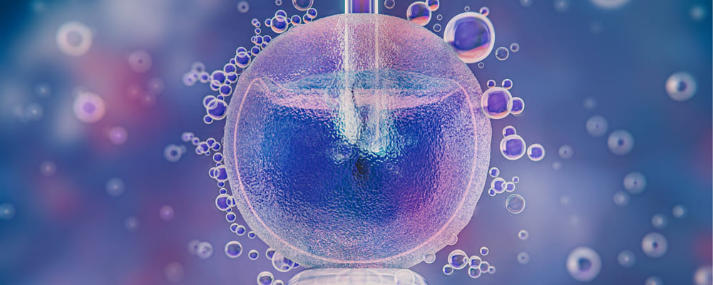 Ovulation Induction